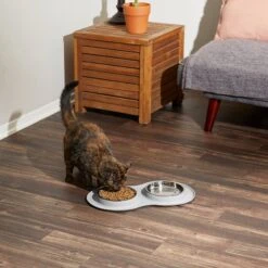 Frisco Double Stainless Steel Pet Bowl With Silicone Mat -The Pet Haven Shop 215986 PT6. AC SS1800 V1605657710