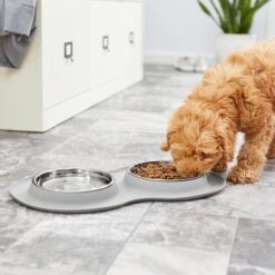 Frisco Double Stainless Steel Pet Bowl With Silicone Mat -The Pet Haven Shop 215986 PT7. AC SS1800 V1605660717