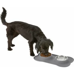 Frisco Silicone Stainless Steel Double Diner Dog & Cat Bowl 14 Frisco Silicone Stainless Steel Double Diner Dog & Cat Bowl -The Pet Haven Shop 215990 PT5. AC SS1800 V1605662218