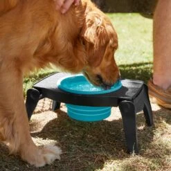 Frisco Elevated Collapsible Travel Bowl -The Pet Haven Shop 216013 PT7. AC SS1800 V1605653830