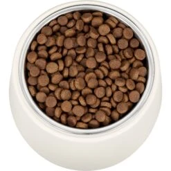 Frisco Slanted Stainless Steel Bowl -The Pet Haven Shop 216028 PT4. AC SS1800 V1591020437