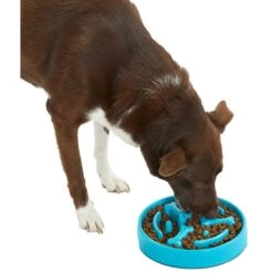 Frisco Bone Shaped Ridges Slow Feed Bowl -The Pet Haven Shop 216041 PT6. AC SS1800 V1605664049