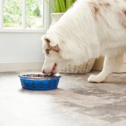 Frisco Chevron Design Glass Bowl With Silicone Sleeve -The Pet Haven Shop 216049 PT7. AC SS1800 V1605664319