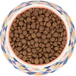 Frisco Colorful Geometric Melamine Bowl 13 Frisco Colorful Geometric Melamine Bowl -The Pet Haven Shop 216054 PT4. AC SS1800 V1591020757