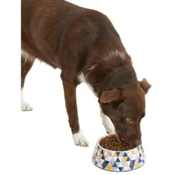Frisco Colorful Geometric Melamine Bowl 14 Frisco Colorful Geometric Melamine Bowl -The Pet Haven Shop 216054 PT6. AC SS1800 V1605658026
