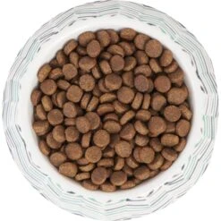 Frisco Chevron Brushed Melamine Bowl -The Pet Haven Shop 216059 PT4. AC SS1800 V1591020962