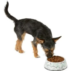 Frisco Chevron Brushed Melamine Bowl -The Pet Haven Shop 216059 PT6. AC SS1800 V1605665808