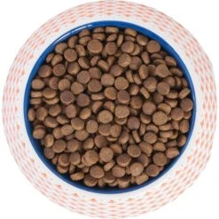 Frisco Southwest Melamine Bowl 13 Frisco Southwest Melamine Bowl -The Pet Haven Shop 216064 PT4. AC SS1800 V1591021009