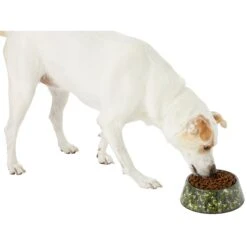 Frisco Camo Paint Splashed Melamine Bowl -The Pet Haven Shop 216066 PT6. AC SS1800 V1605666935