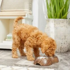 Frisco Double Stainless Steel Bowl, Wood Design -The Pet Haven Shop 216068 PT7. AC SS1800 V1605666481