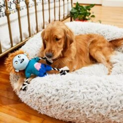 Frisco Zombie Boy Plush With Rope Squeaky Dog Toy -The Pet Haven Shop 218569 PT6. AC SS1800 V1597599376