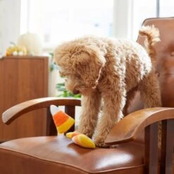 Frisco Halloween Candy Corn Plush Squeaky Dog Toy -The Pet Haven Shop 218619 PT6. AC SS1800 V1597599676