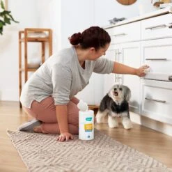 Frisco Vinegar Cleaning Wipes, 70 Count 11 Frisco Vinegar Cleaning Wipes, 70 Count -The Pet Haven Shop 222151 PT4. AC SS1800 V1602847932