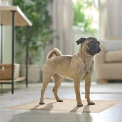 Frisco Large Eco-Conscious Dog Training & Potty Pads -The Pet Haven Shop 227438 PT6. AC SS1800 V1674665619