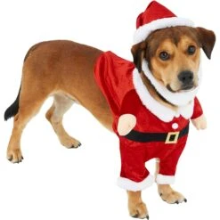Frisco Front Walking Santa Dog & Cat Costume, 1 Count -The Pet Haven Shop 228785 PT3. AC SS1800 V1631300866