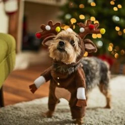 Frisco Front Walking Reindeer Dog & Cat Costume, 1 Count -The Pet Haven Shop 228790 PT7. AC SS1800 V1636743685