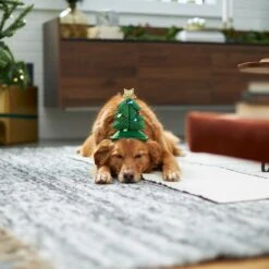 Frisco Christmas Tree LED Dog & Cat Headpiece 11 Frisco Christmas Tree LED Dog & Cat Headpiece -The Pet Haven Shop 229051 PT7. AC SS1800 V1601648765
