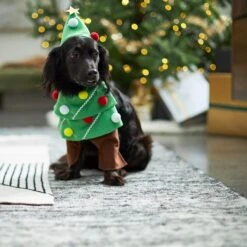 Frisco Front Walking Christmas Tree Dog & Cat Costume 14 Frisco Front Walking Christmas Tree Dog & Cat Costume -The Pet Haven Shop 229164 PT7. AC SS1800 V1601385981