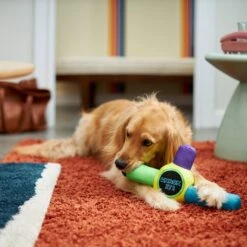 Frisco Retro Whack It! Ballistic Nylon Plush Squeaky Dog Toy -The Pet Haven Shop 230302 PT3. AC SS1800 V1601947283