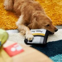 Frisco Retro Floppy Disc Ballistic Nylon Plush Squeaky Dog Toy -The Pet Haven Shop 230304 PT3. AC SS1800 V1602639753