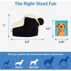 Frisco Retro Camera 2-in-1 Rip For Surprise Plush Squeaky Dog Toy -The Pet Haven Shop 230306 PT1. AC SS1800 V1599945060