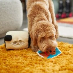 Frisco Retro Camera 2-in-1 Rip For Surprise Plush Squeaky Dog Toy -The Pet Haven Shop 230306 PT3. AC SS1800 V1602639779