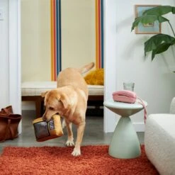 Frisco Retro Television Ballistic Nylon Plush Squeaky Dog Toy -The Pet Haven Shop 230308 PT3. AC SS1800 V1601947325