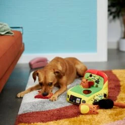 Frisco Retro Smack-a-Squirrel Hide & Seek Puzzle Plush Squeaky Dog Toy -The Pet Haven Shop 230313 PT3. AC SS1800 V1601947334