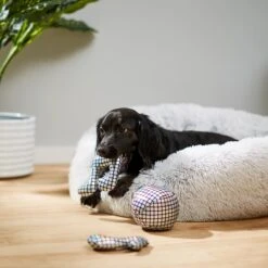 Frisco Retro Plush Squeaky Disco Dog Toy 7 Frisco Retro Plush Squeaky Disco Dog Toy -The Pet Haven Shop 230349 PT3. AC SS1800 V1600973789