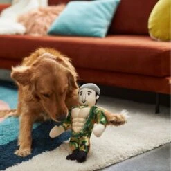Frisco Retro Camo Hero Muscle Plush Squeaky Dog Toy 7 Frisco Retro Camo Hero Muscle Plush Squeaky Dog Toy -The Pet Haven Shop 230375 PT3. AC SS1800 V1602639726