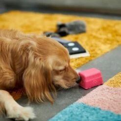 Frisco Retro Funky Van TPE Treat Dispenser Dog Toy, Medium/Large -The Pet Haven Shop 230383 PT4. AC SS1800 V1669908614