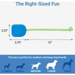 Frisco Retro PC Mouse Rubber Tug & Fetch Dog Toy -The Pet Haven Shop 230385 PT1. AC SS1800 V1599943590