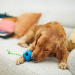 Frisco Retro PC Mouse Rubber Tug & Fetch Dog Toy -The Pet Haven Shop 230385 PT3. AC SS1800 V1606953426