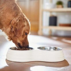 Frisco Stainless Steel Double Dog Bowls With Melamine Stand 10 Frisco Stainless Steel Double Dog Bowls With Melamine Stand -The Pet Haven Shop 232092 PT7. AC SS1800 V1693015855