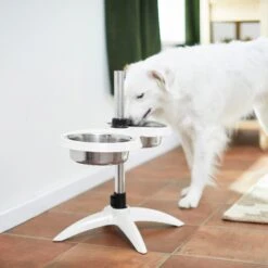 Frisco Adjustable Stainless Steel Double Elevated Dog Bowls -The Pet Haven Shop 232097 PT8. AC SS1800 V1605740511