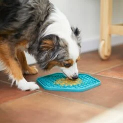 Frisco Silicone Treat Lick Mat 14 Frisco Silicone Treat Lick Mat -The Pet Haven Shop 232099 PT7. AC SS1800 V1605739324