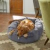 Frisco Velvet Round Bolster Dog Bed W/Removable Cover -The Pet Haven Shop 232178 MAIN. AC SS1800 V1602013291