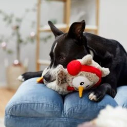 Frisco Holiday Owl Plush Squeaky Dog Toy -The Pet Haven Shop 233160 PT2. AC SS1800 V1601304724