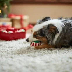 Frisco Holiday Wreath Fetch Squeaky Tennis Ball Dog Toy -The Pet Haven Shop 233189 PT3. AC SS1800 V1665759769