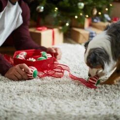 Frisco Holiday Wreath Fetch Squeaky Tennis Ball Dog Toy -The Pet Haven Shop 233189 PT5. AC SS1800 V1601919657