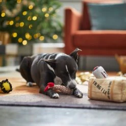 Frisco Holiday Fragile Box Hide & Seek Puzzle Plush Squeaky Dog Toy 13 Frisco Holiday Fragile Box Hide & Seek Puzzle Plush Squeaky Dog Toy -The Pet Haven Shop 233274 PT4. AC SS1800 V1665759767