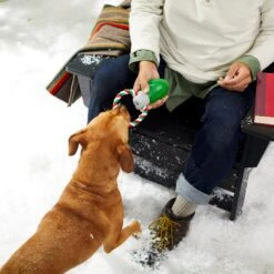 Frisco Holiday Christmas Light Rope With TPR Squeaky Dog Toy -The Pet Haven Shop 233278 PT2. AC SS1800 V1601641574