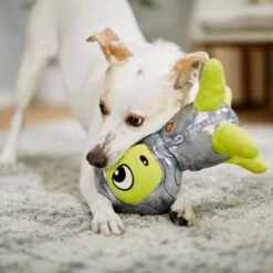 Frisco Alien Plush Squeaky Dog Toy -The Pet Haven Shop 233579 PT3. AC SS1800 V1600973833