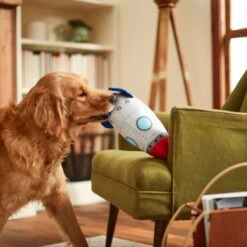 Frisco Ballistic Nylon Plush Squeaky Rocket Ship Dog Toy -The Pet Haven Shop 233581 PT3. AC SS1800 V1600973767