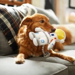 Frisco Ballistic Nylon Plush With Rope Squeaky Astronaut Dog Toy -The Pet Haven Shop 233585 PT3. AC SS1800 V1600973761