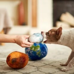 Frisco Earth, Mars, And Moon Plush Squeaky Dog Toy -The Pet Haven Shop 233587 PT3. AC SS1800 V1600973771