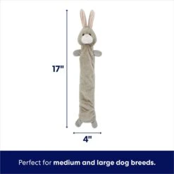 Frisco Bunny Bungee Plush Squeaky Dog Toy -The Pet Haven Shop 233612 PT1. AC SS1800 V1691784031