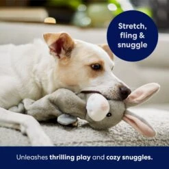 Frisco Bunny Bungee Plush Squeaky Dog Toy -The Pet Haven Shop 233612 PT5. AC SS1800 V1691783971