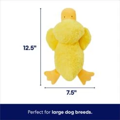 Frisco Duck Plush Squeaky Dog Toy -The Pet Haven Shop 233613 PT1. AC SS1800 V1695671062