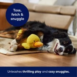 Frisco Duck Plush Squeaky Dog Toy -The Pet Haven Shop 233613 PT4. AC SS1800 V1695670688